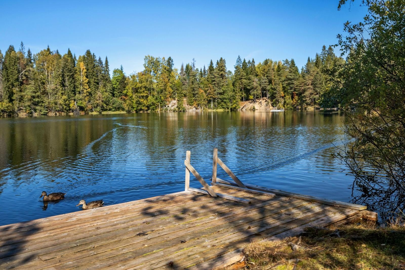 Flere bade- og fiskevann like i nærheten Galleribilde