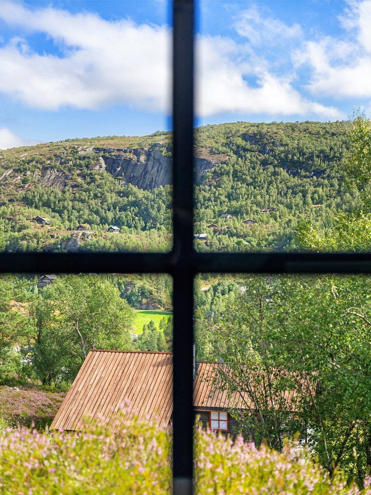 Naturen kommer tett på, med flott utsyn mot høyfjellet Galleribilde