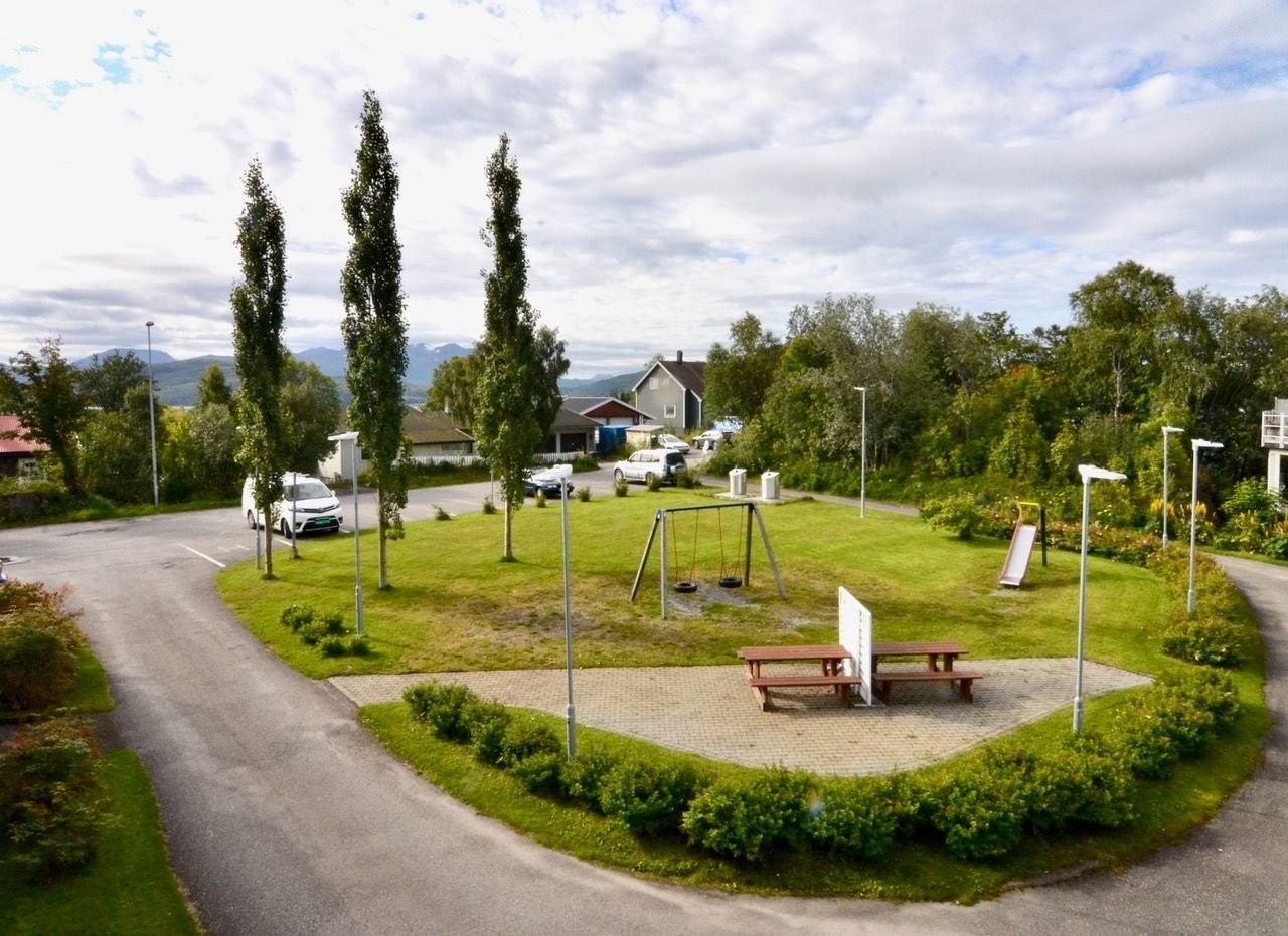 Utsikt mot hagen. Galleribilde