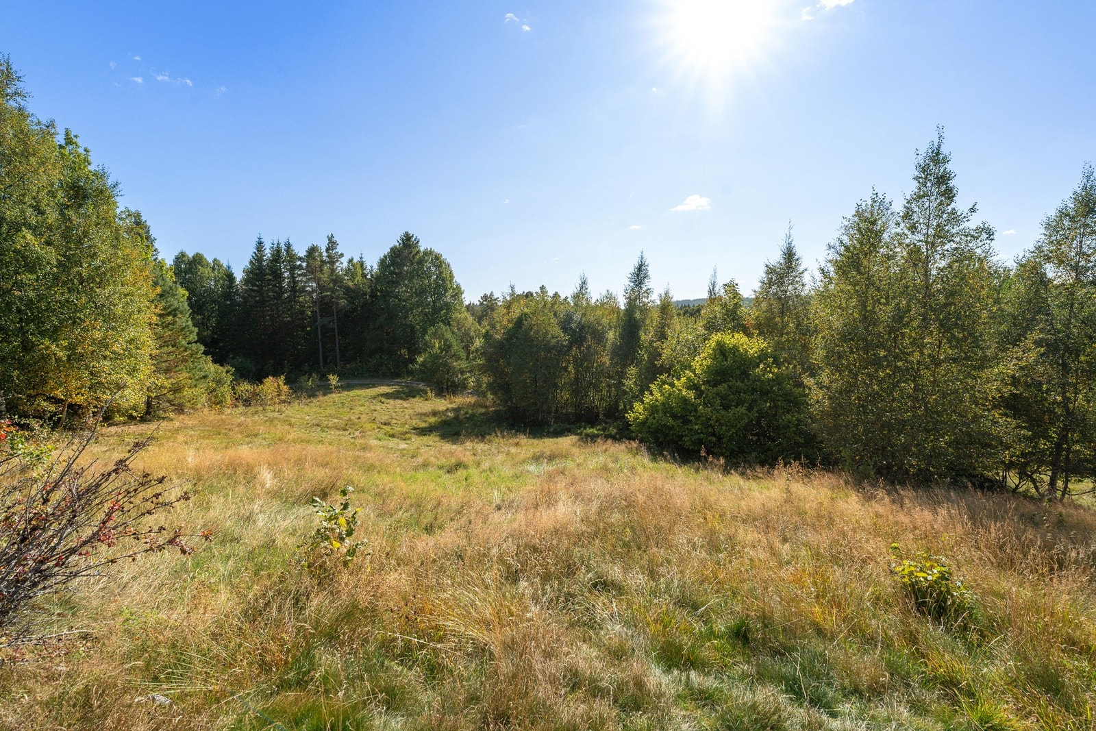 Landlige omgilvelser Galleribilde