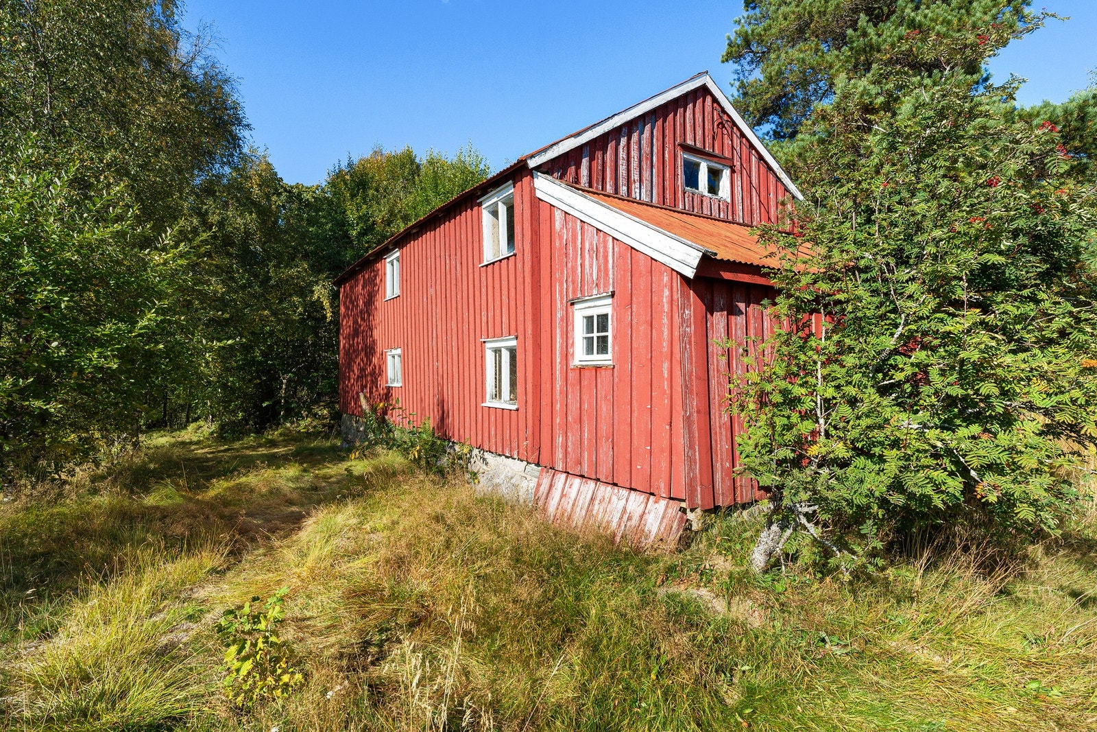 Låve/fjøs Galleribilde