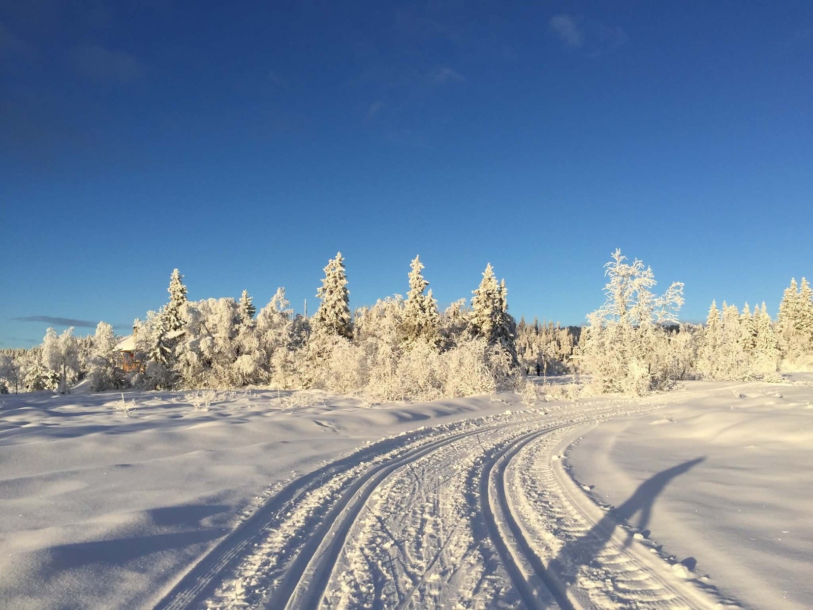 Vinterbilde fra selgers arkiv. Fine skiløyper som tar deg milevis avgårde. Galleribilde