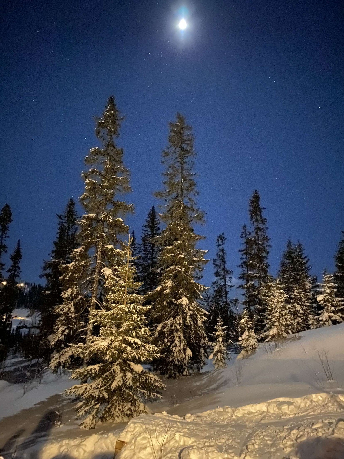 Blåtimen. Vinterbilde fra selgers arkiv. Galleribilde