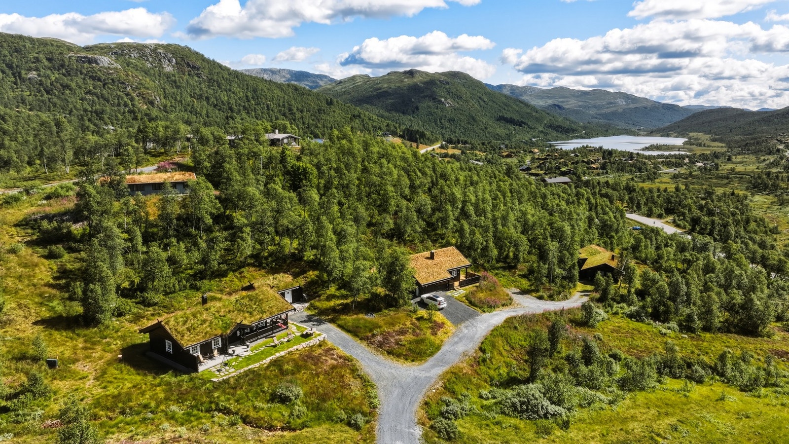 Velkommen til visning! Galleribilde
