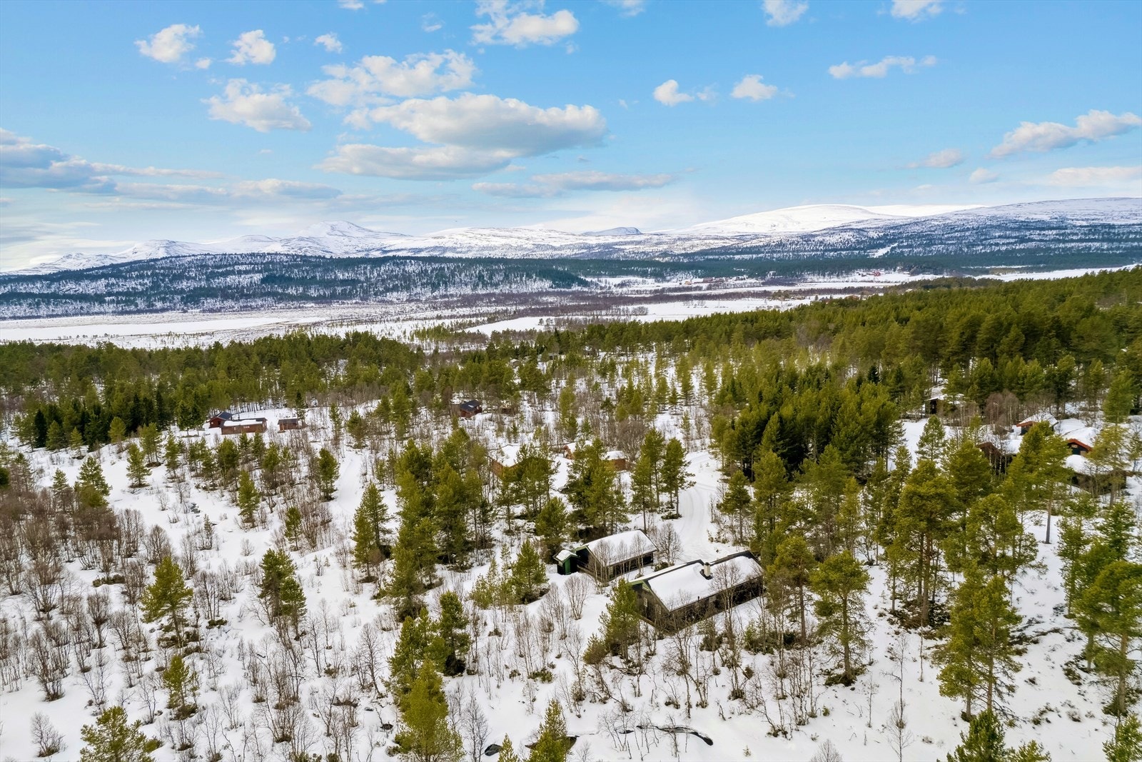 Fra hytta har man tilgang til turstier, skiløyper, sykkel, bærplukking, jakt og fiske! På vinterstid kjøres det skiløyper like ved hytta. Galleribilde