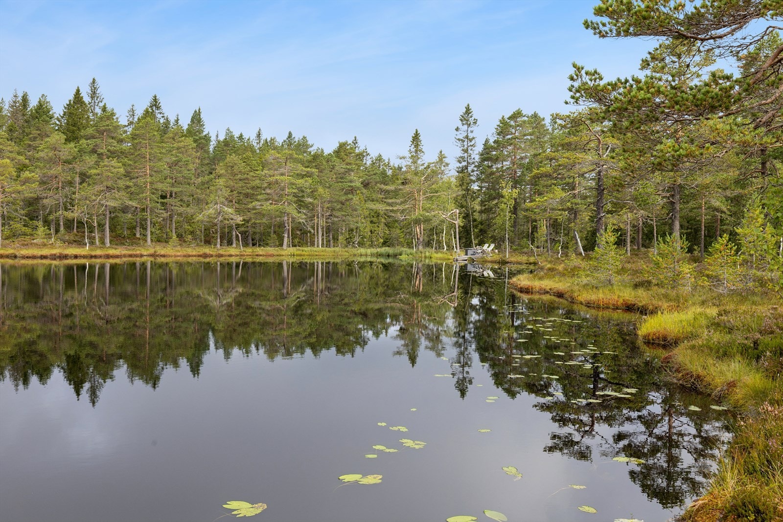 Tomten går helt ned til tjernet, her kan man ha sin egen, private badeplass Galleribilde