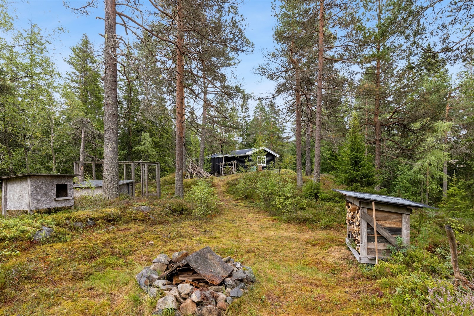 På tomten er det en eldre hundegård og bålplass Galleribilde