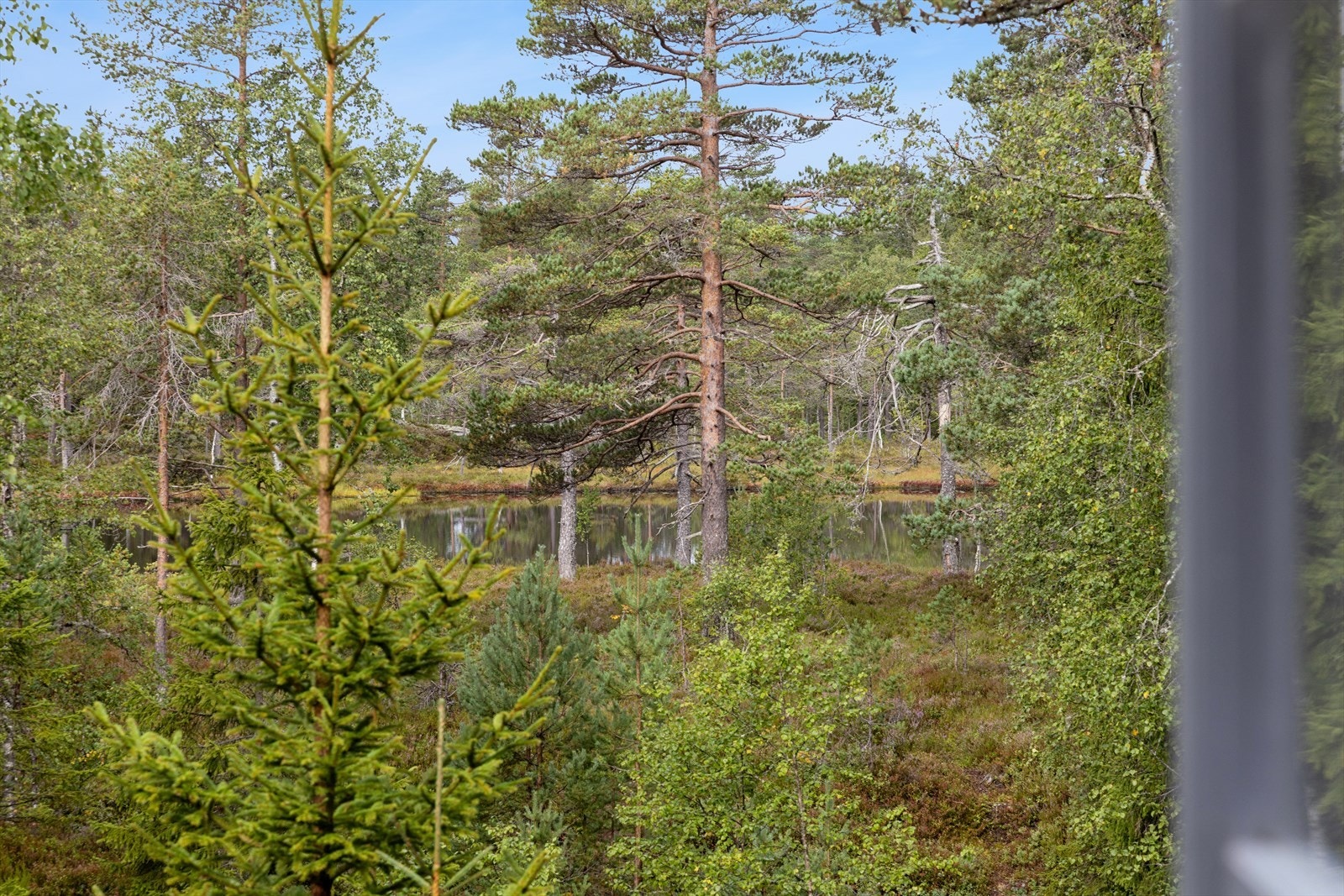 Tomten går helt ned til vannet Galleribilde