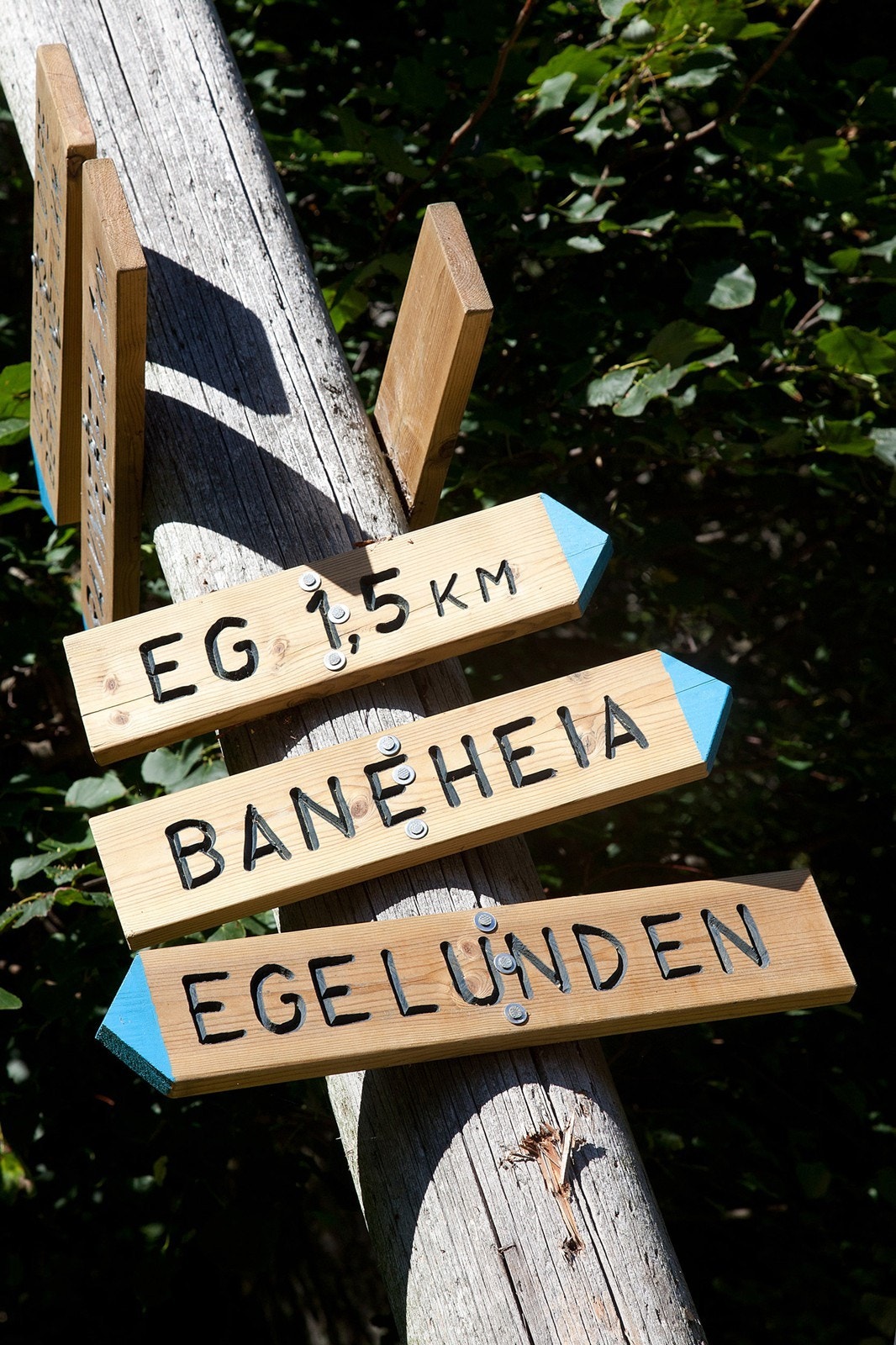 Nærområde Galleribilde