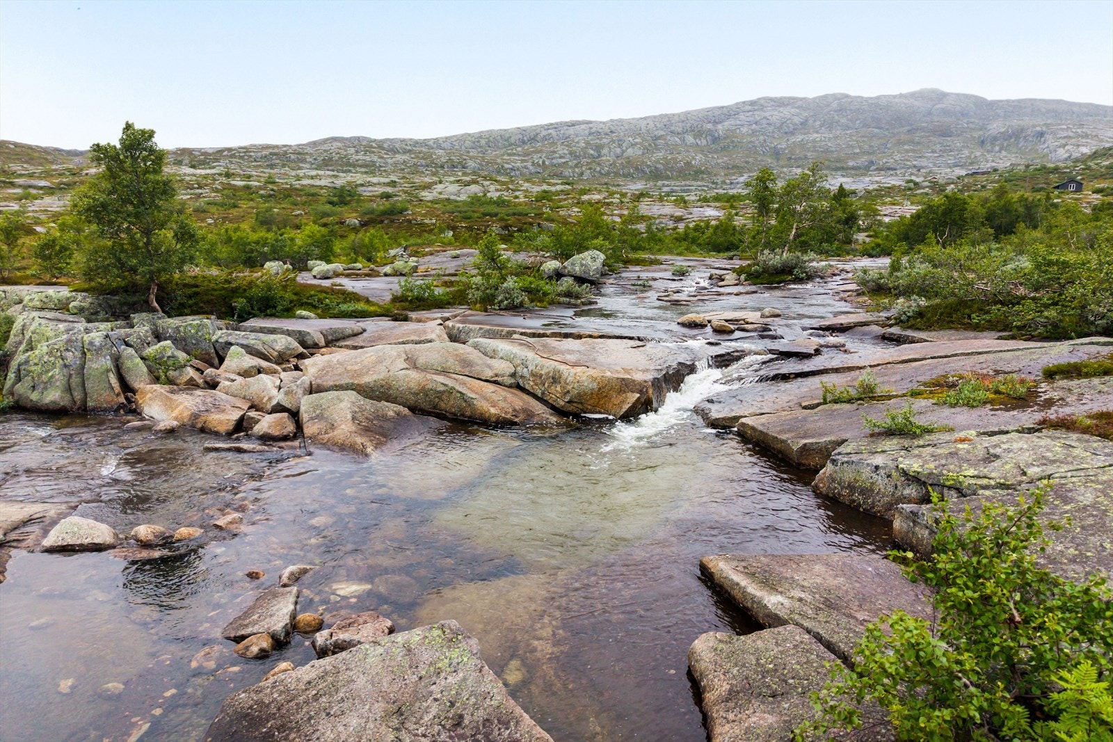 Tenk å ha fjellvann som nærmeste nabo? Galleribilde
