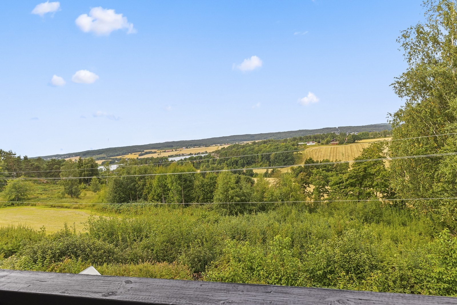 Utsikt over jorder og skog fra eiendommen. Galleribilde