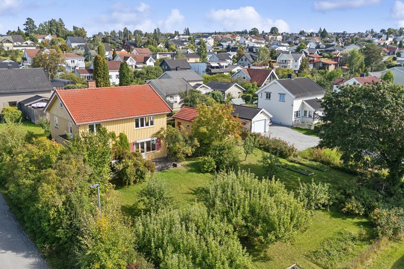 Frodige og solrik hage med mange muligheter. Galleribilde