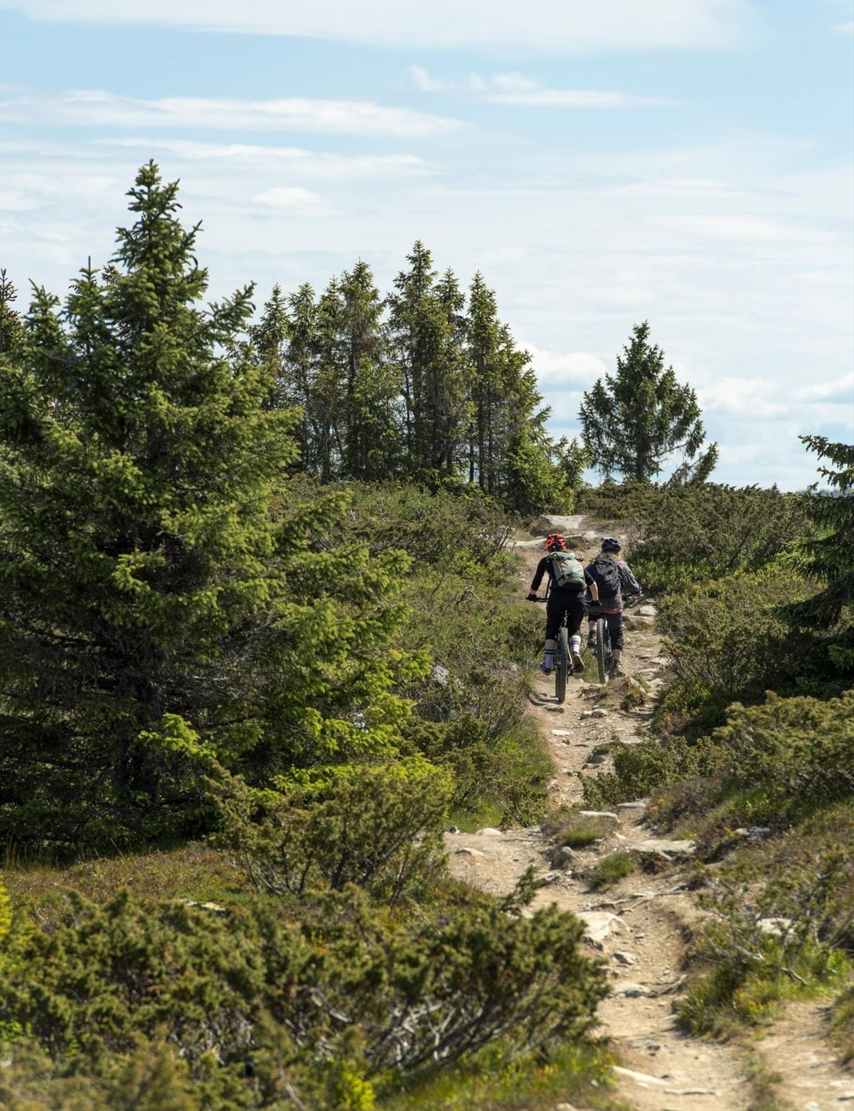 Sommerstid kan fjellet by på fantastisk turterreng, og for golfentusiaster kan stedet by på 9-hulls golfbane. Galleribilde