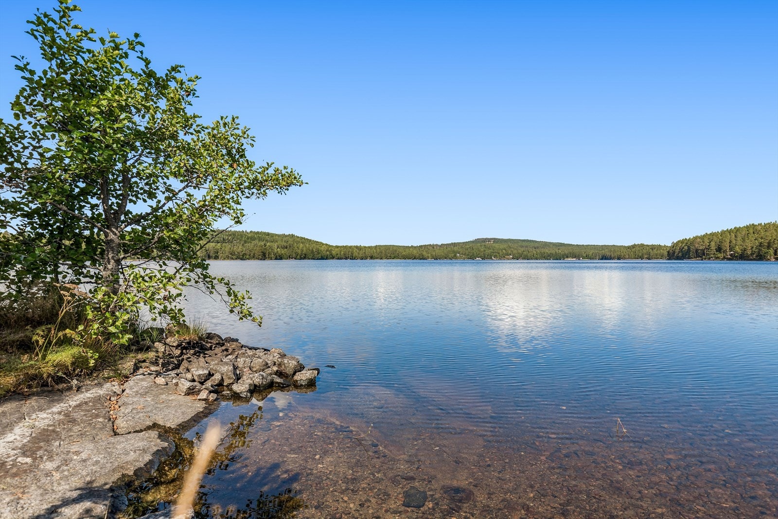 Egen strandlinje med svaberg og grunt vann. Galleribilde