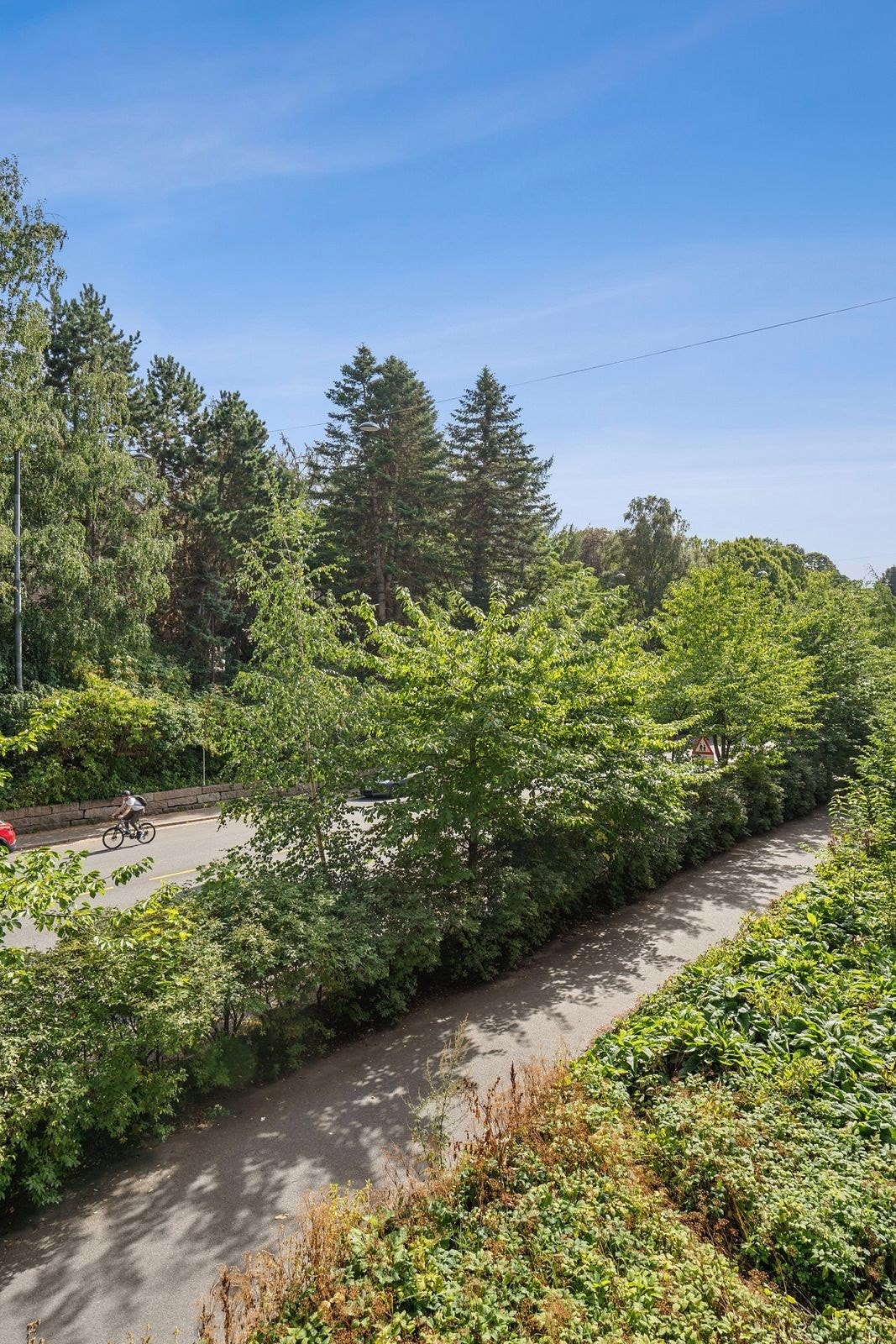 Her bor du med Botanisk hage som nærmeste nabo. Galleribilde