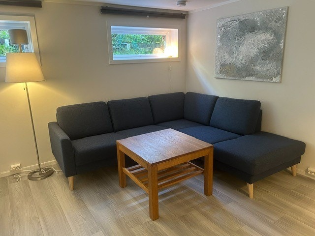 Sofakrok Galleribilde