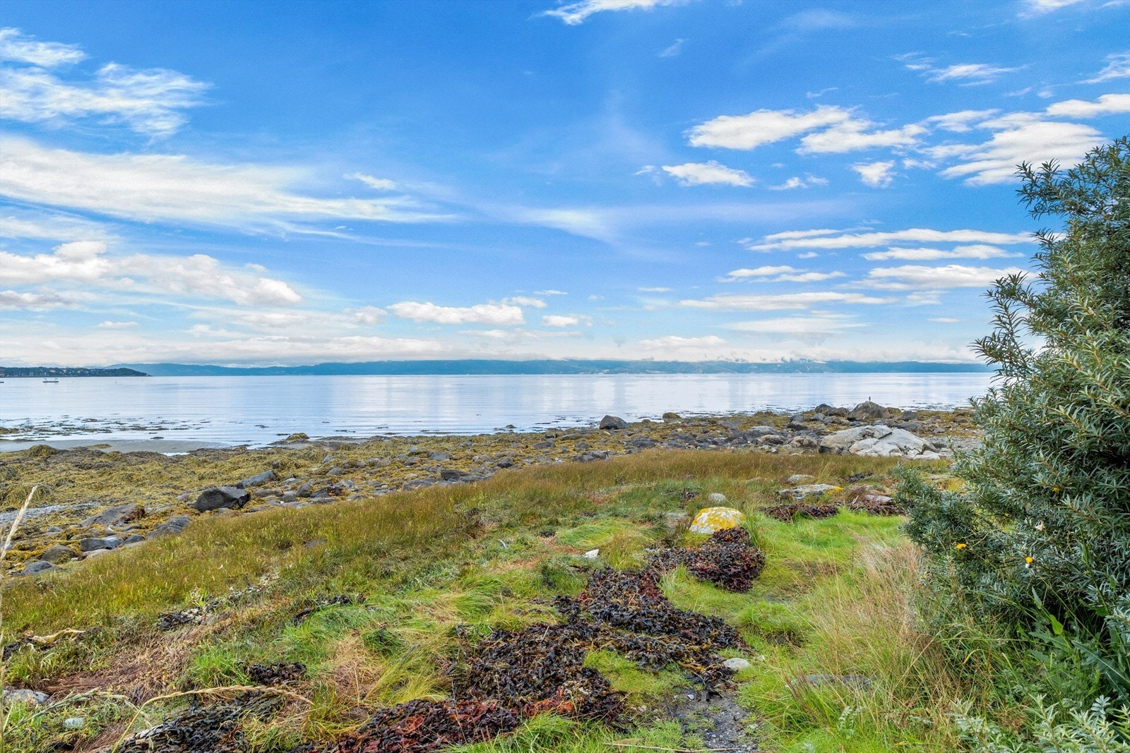 Kort vei fra boligen finner du flotte områder langs Trondheimsfjorden - perfekt for turer og rekreasjon ved sjøen. Galleribilde
