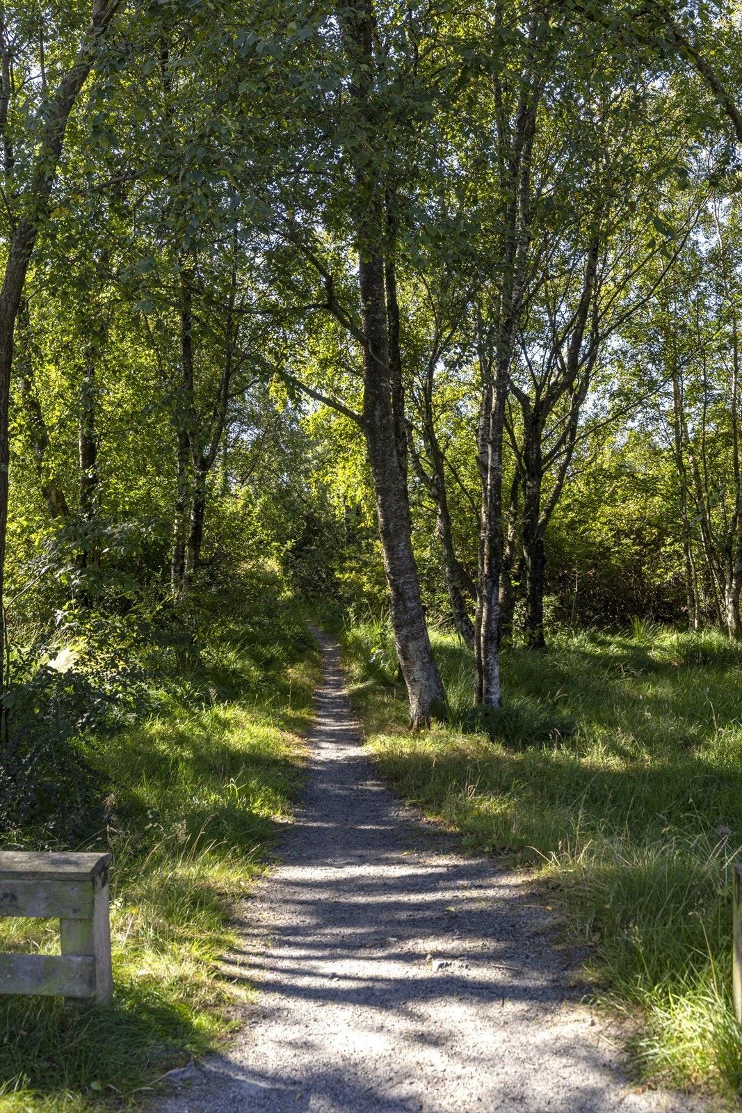 Fra eiendommen er det direkte tilgang til turstiene i Sørmarka. Galleribilde