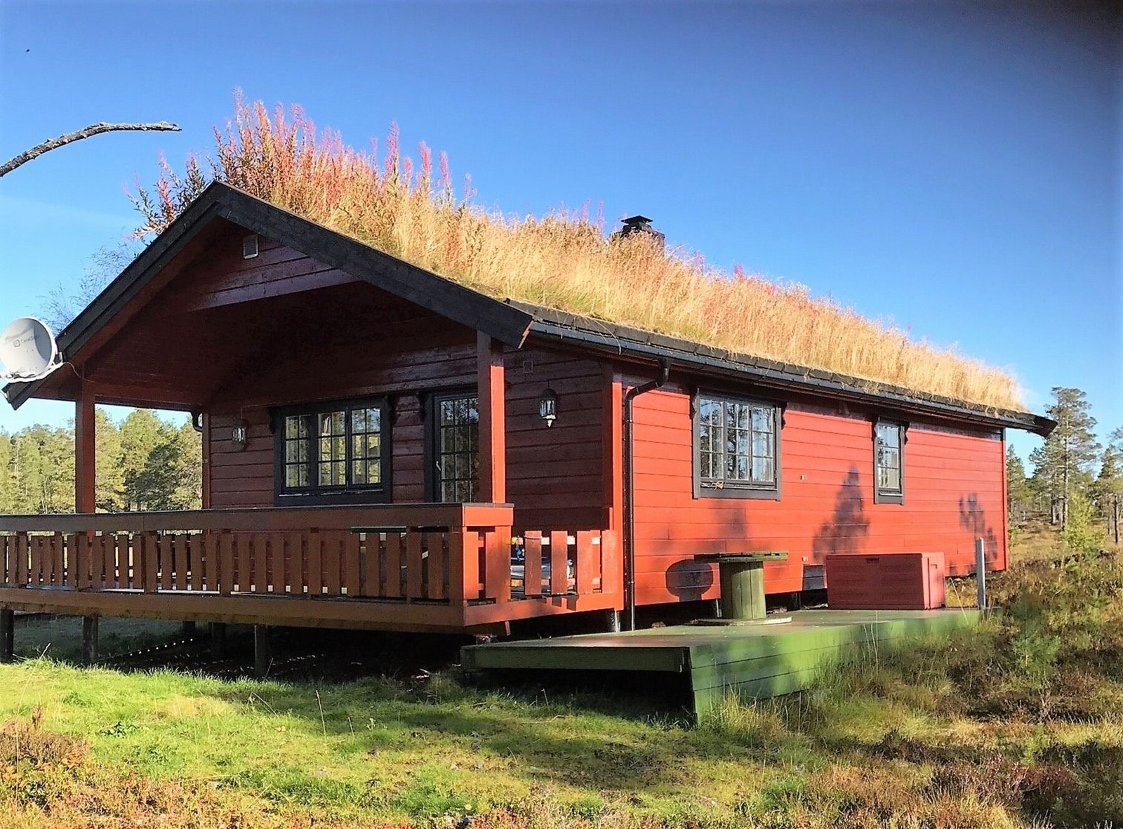 Grønt og trivelig uteområde med gode muligheter for friluftsliv på sommeren. Galleribilde