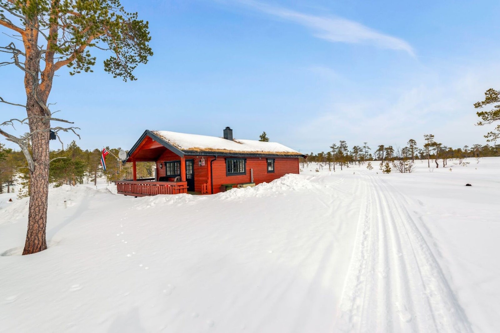 Flott hytte med solrik tomt og skispor i umiddelbar nærhet. Galleribilde