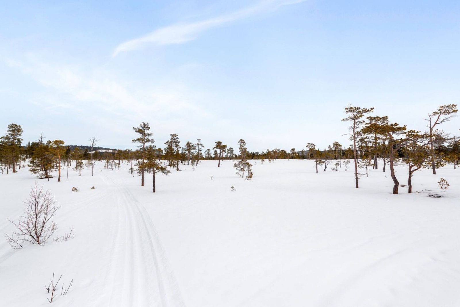 Skispor like i nærheten av hytta. Galleribilde
