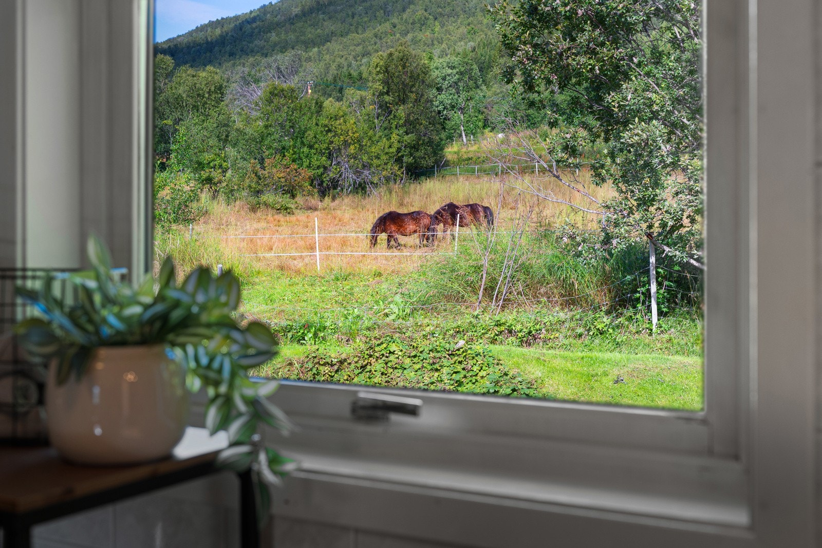 Området er svært barnevennlig med nærhet til naturen.