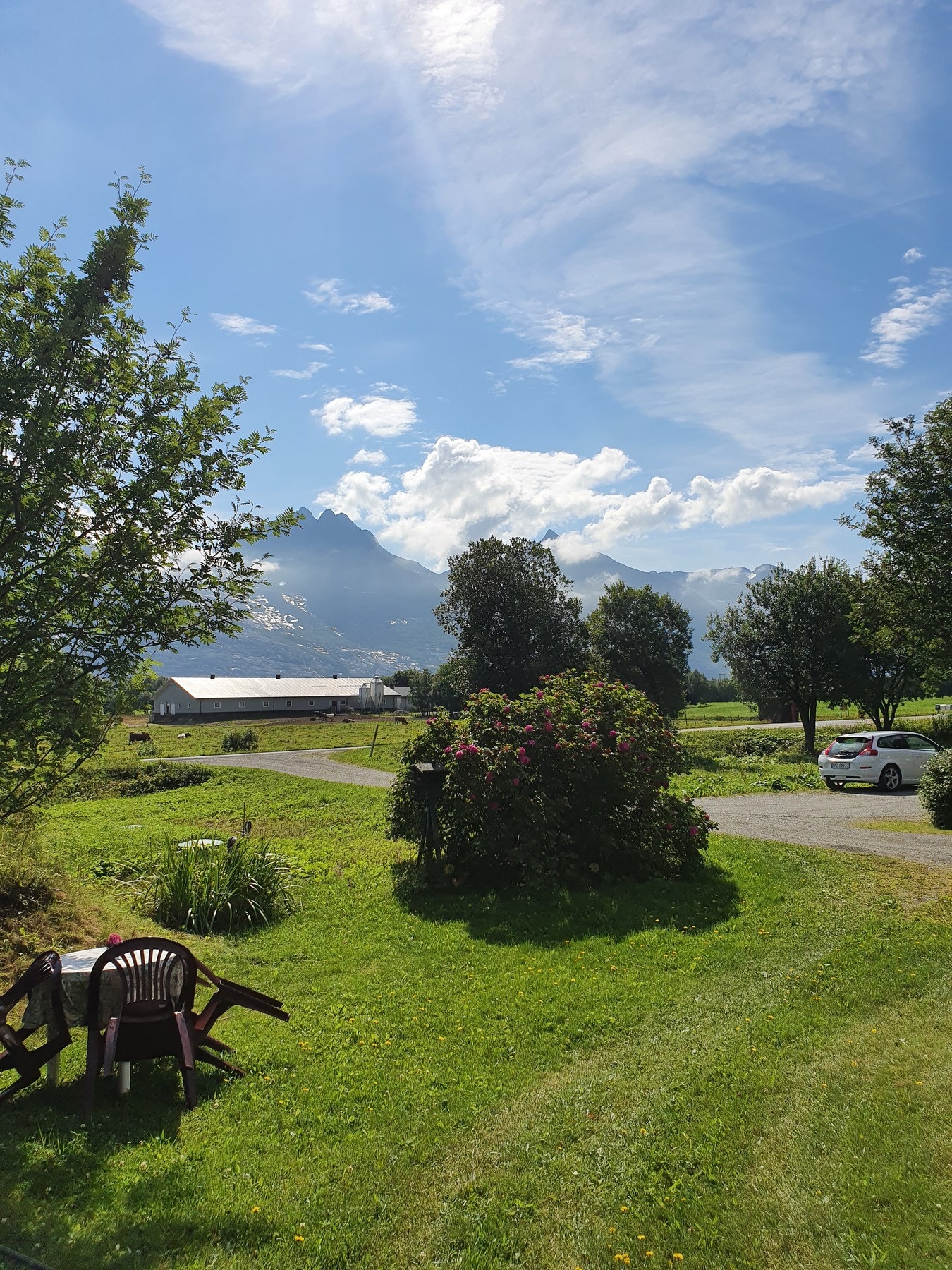 Velkommen til visning! (Privat bilde) Galleribilde