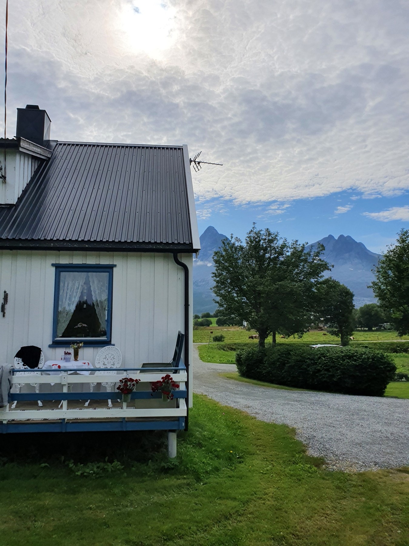 Taket er tekket med stål- og aluminiumsplater. (Privat bilde) Galleribilde