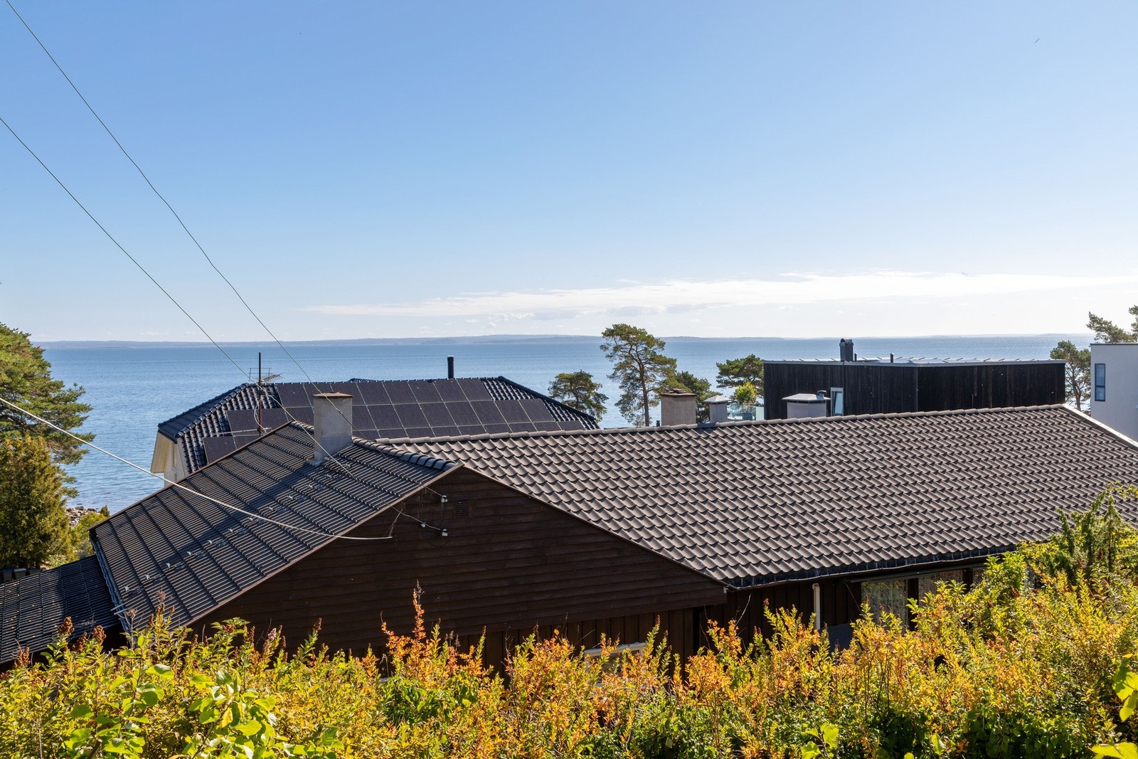 Nyvasket tak uten mose. Galleribilde