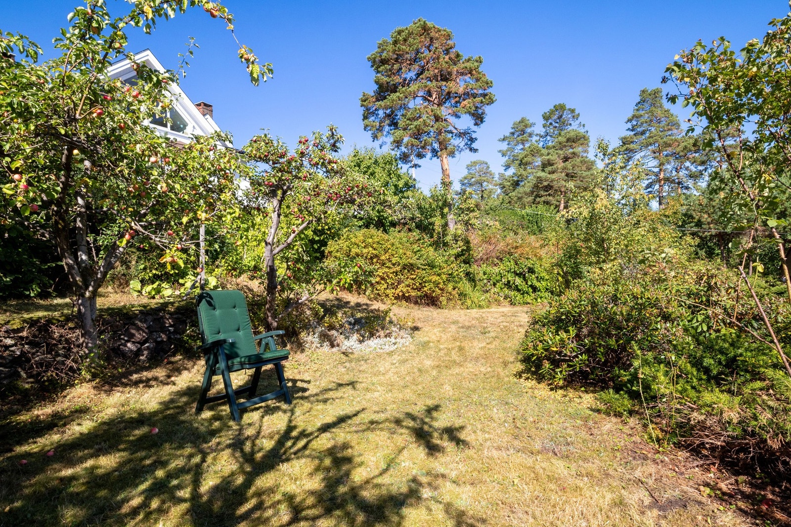 En innholdsrik og grønn tomt med både åpne plenarealer og mer skjermede partier. Galleribilde