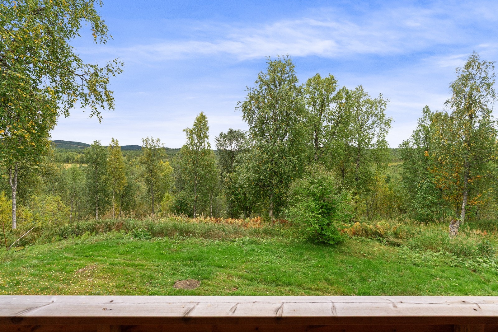 Her bor du omringet av idyllisk natur med usjenert beliggenhet.