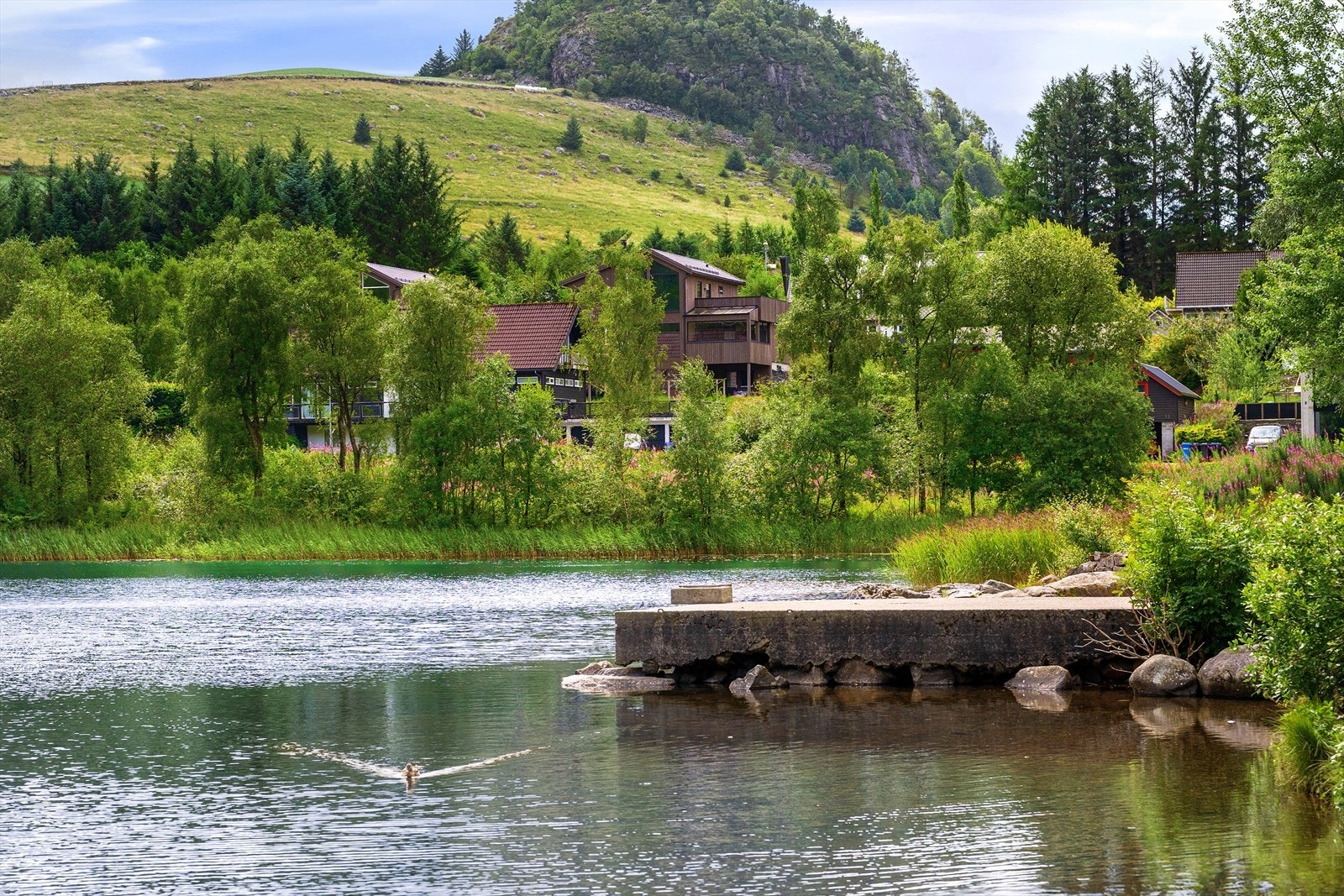 Nydelig eiendom i et frodig og naturskjønt område. Galleribilde