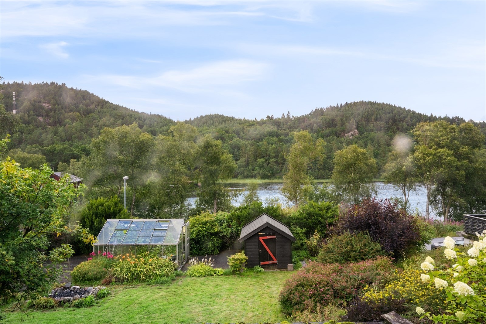 Nyt grønne lunger via vinduer på flere sider. Galleribilde