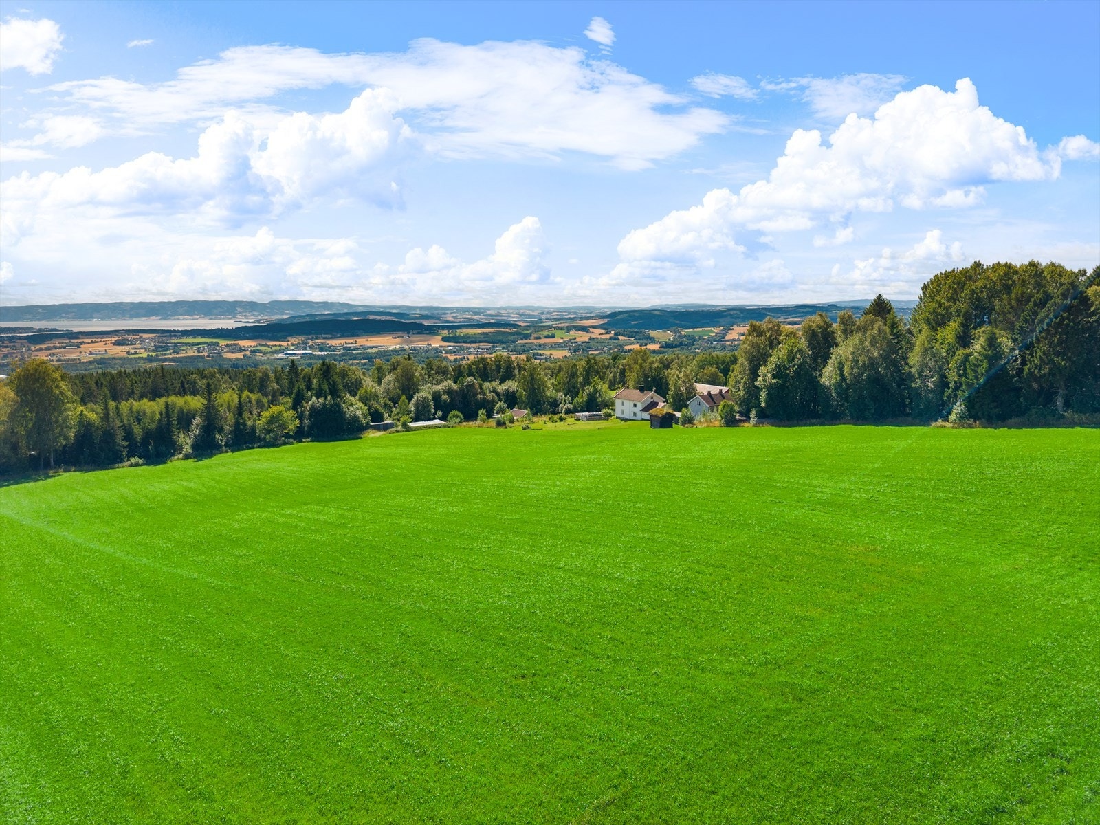 Eiendommen har ca. 23,5 mål med fulldyrka jord. Galleribilde