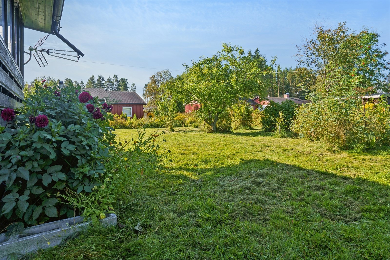 Hagen byr på gode muligheter for lek, hagearbeid og rekreasjon. Galleribilde