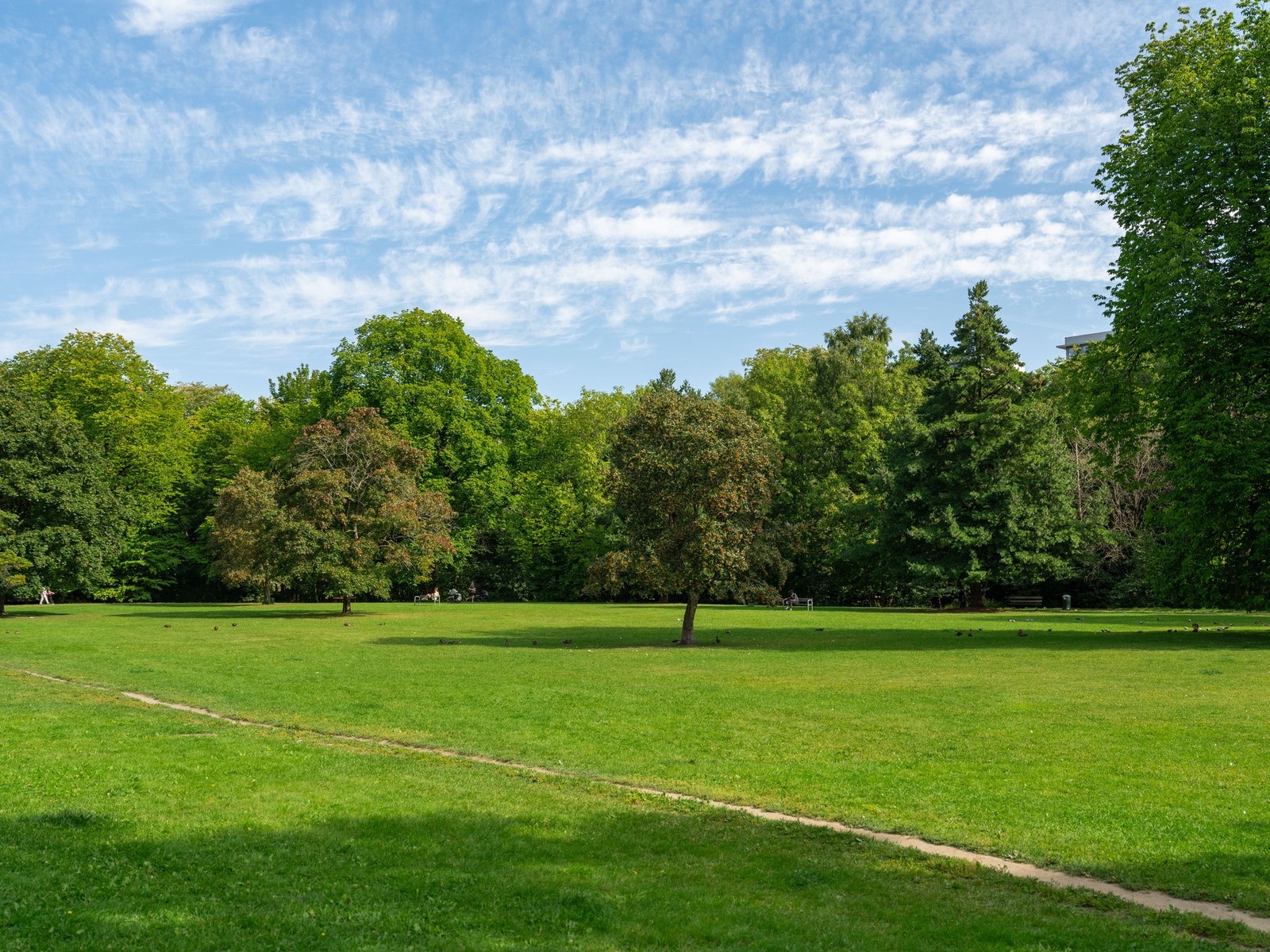Rett utenfor blokken finner du altså denne herlige parken, som er utrolig deilig å ha lett tilgjengelig i hverdagen. Galleribilde