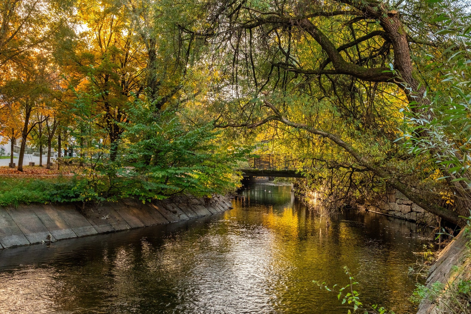 Turstien langs Akerselva er nærmeste nabo, og her kan du velge om du ønsker å gå mot ro i marka eller det yrende bylivet. Det beste av begge verdener der altså. Galleribilde