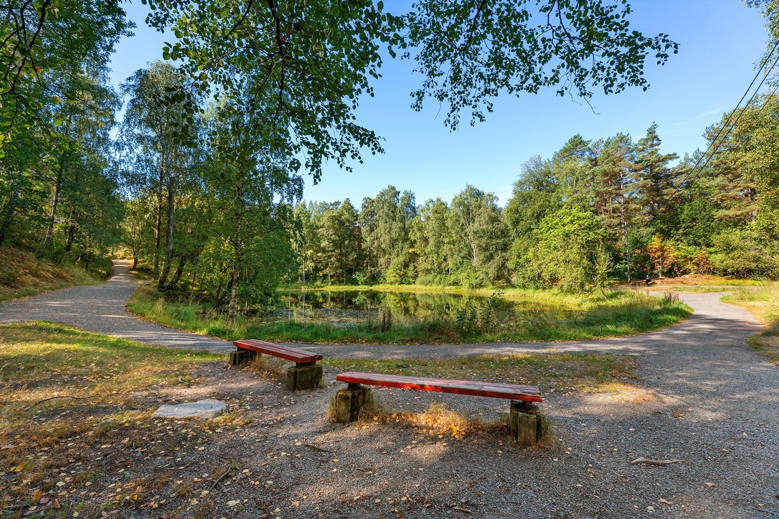 Nærområdet. Galleribilde