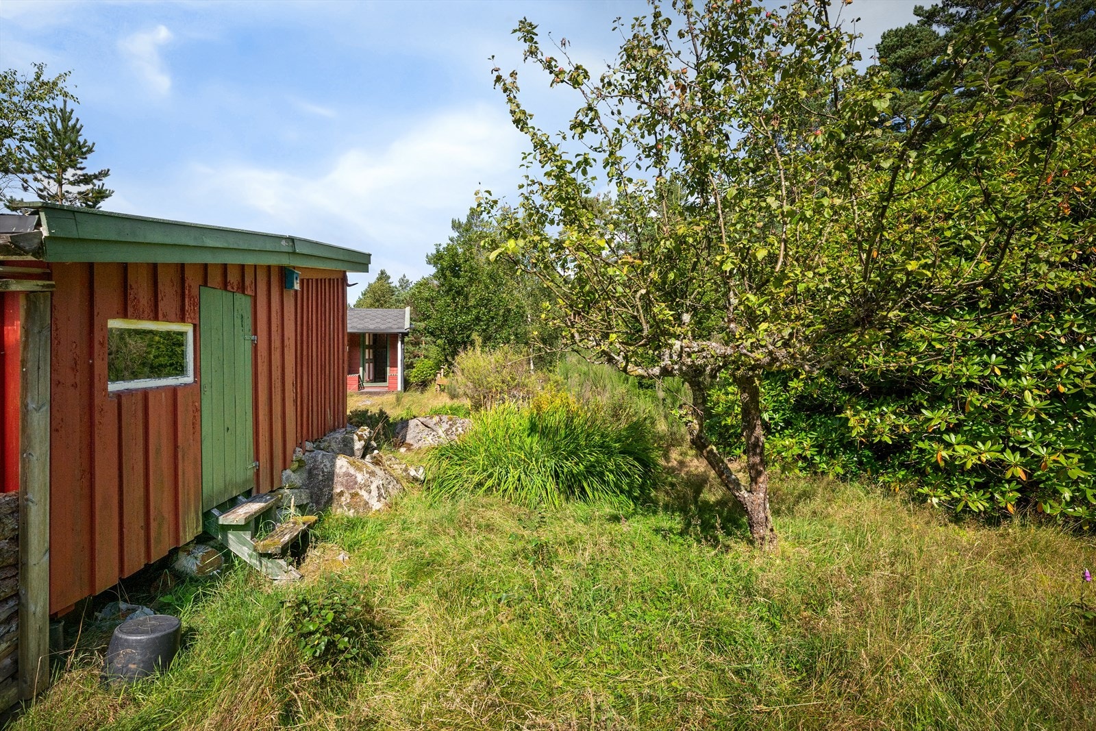Den romslige naturtomten på 4,8 mål gir godt med boltreplass for både store og små. Galleribilde