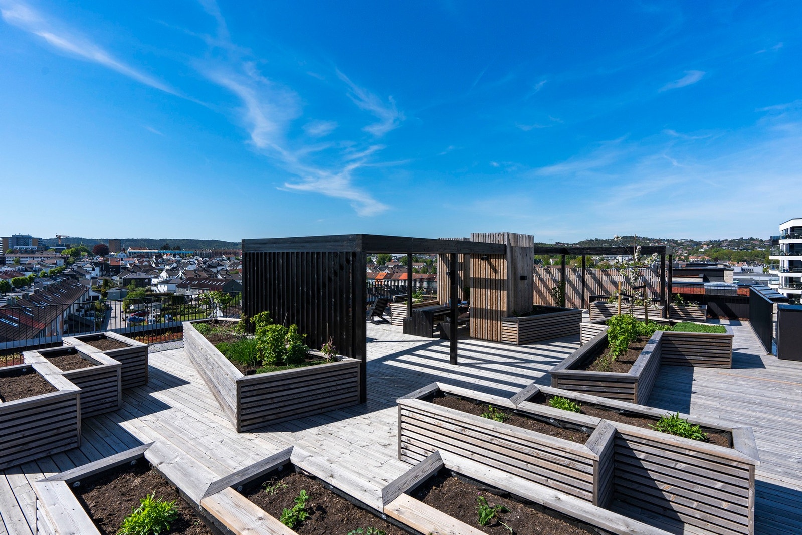 Felles takterrasse med blomsterkasser med mulighet for dyrking av urter og blomster Galleribilde