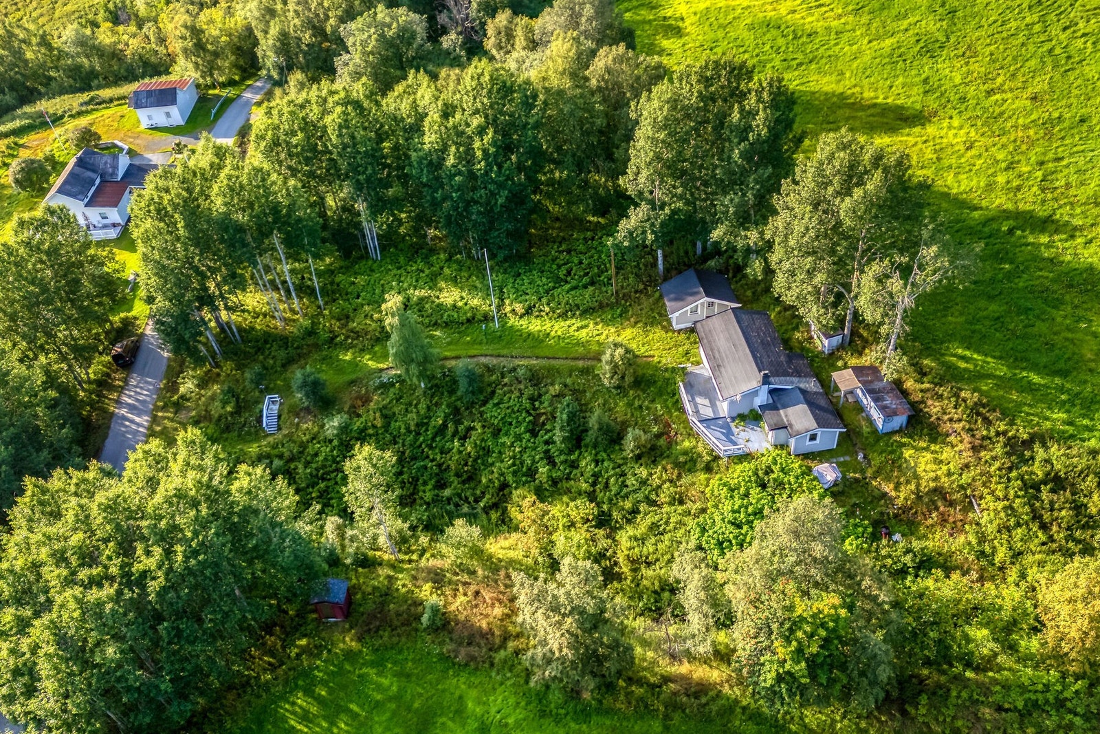 Oversikt over hytta, annekset og de øvrige byggene på tomten. Galleribilde