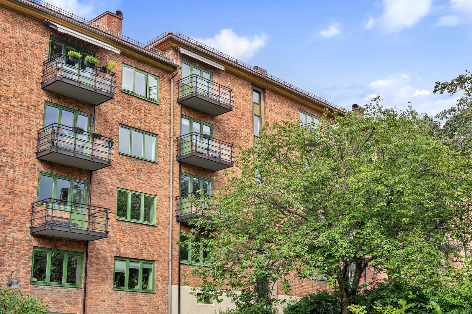 Fasade. Galleribilde