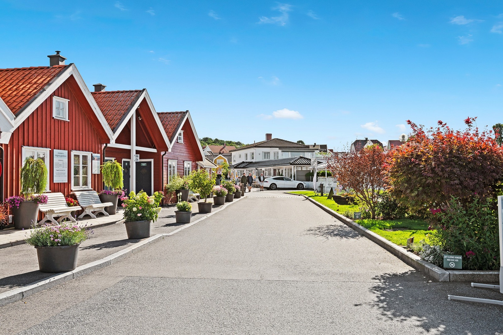Helgeroa - en sommeridyll med den beste kveldssolen i distriktet. Galleribilde
