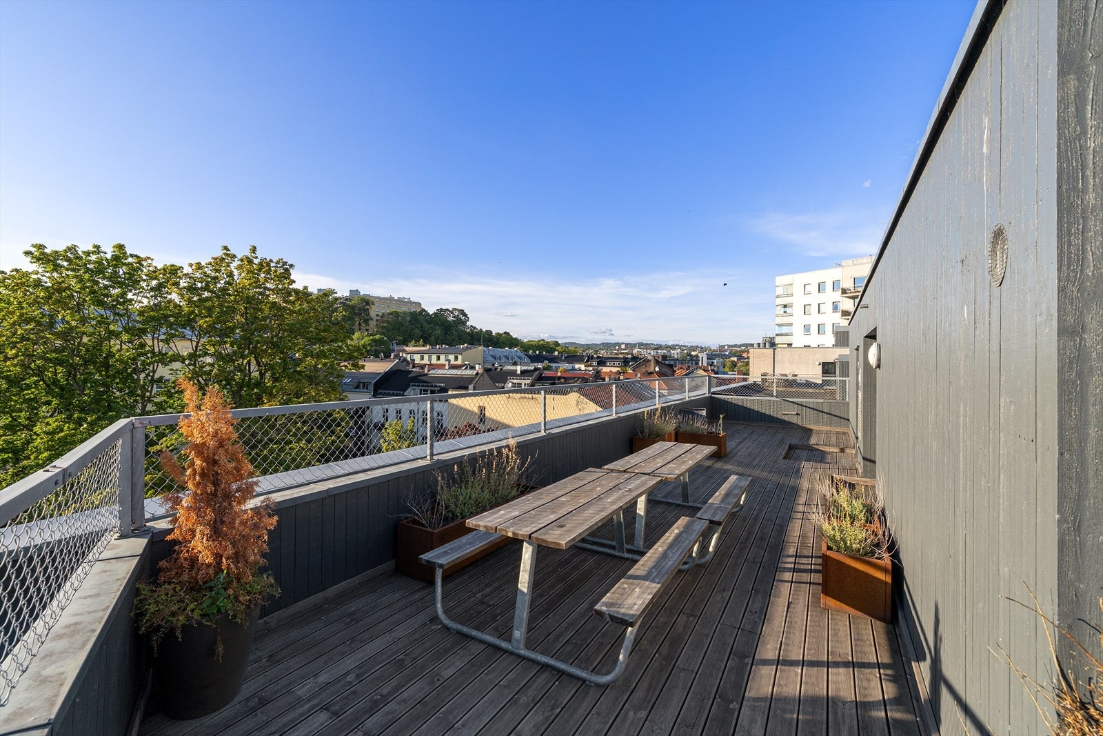 Felles takterrasse med gode sol- og utsiktsforhold. Galleribilde