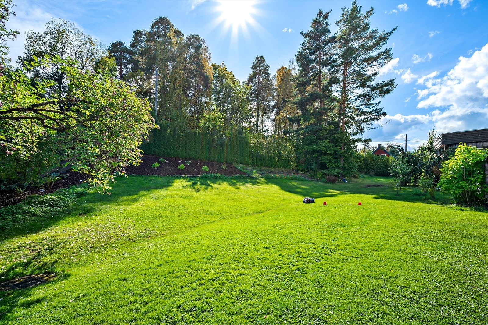 Stor felles hage med grøntarealer og beplantning gir rom for utendørs opphold. Galleribilde