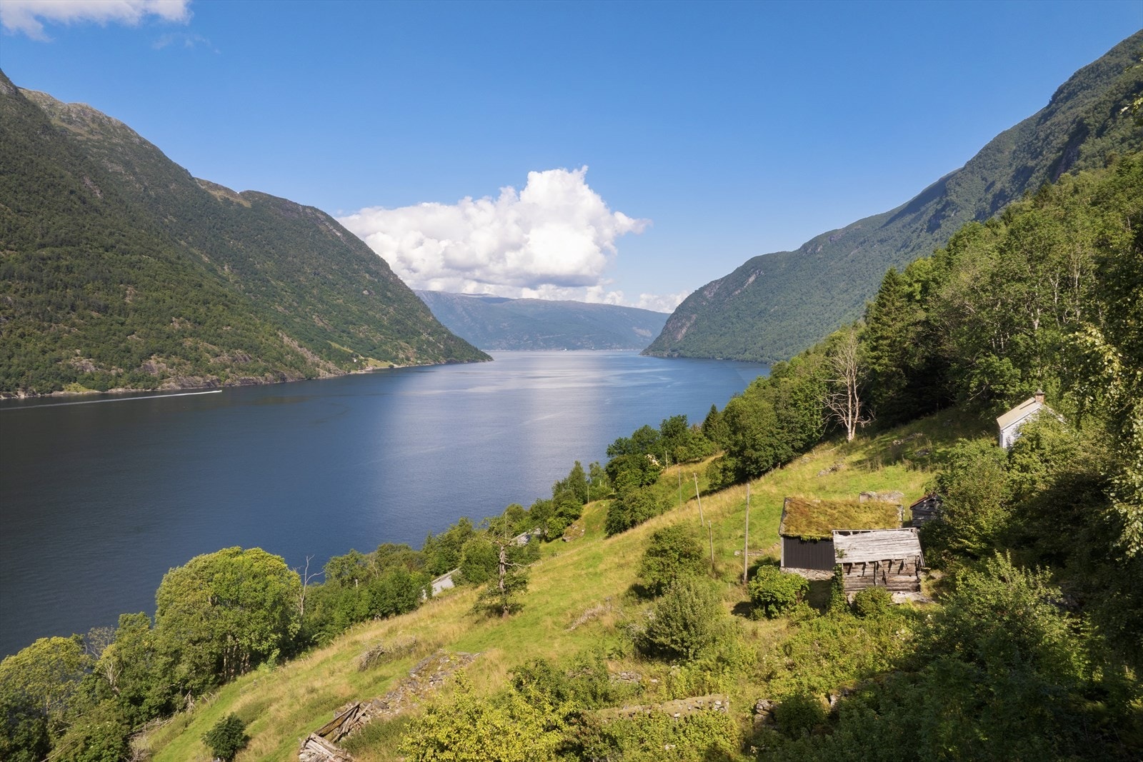Velkommen til Nissestad - ein heilt spesiell eigedom med idyllisk og usjenert plassering i den vakre fjordbygda Arnafjorden, om lag 16km frå Vik sentrum. Galleribilde