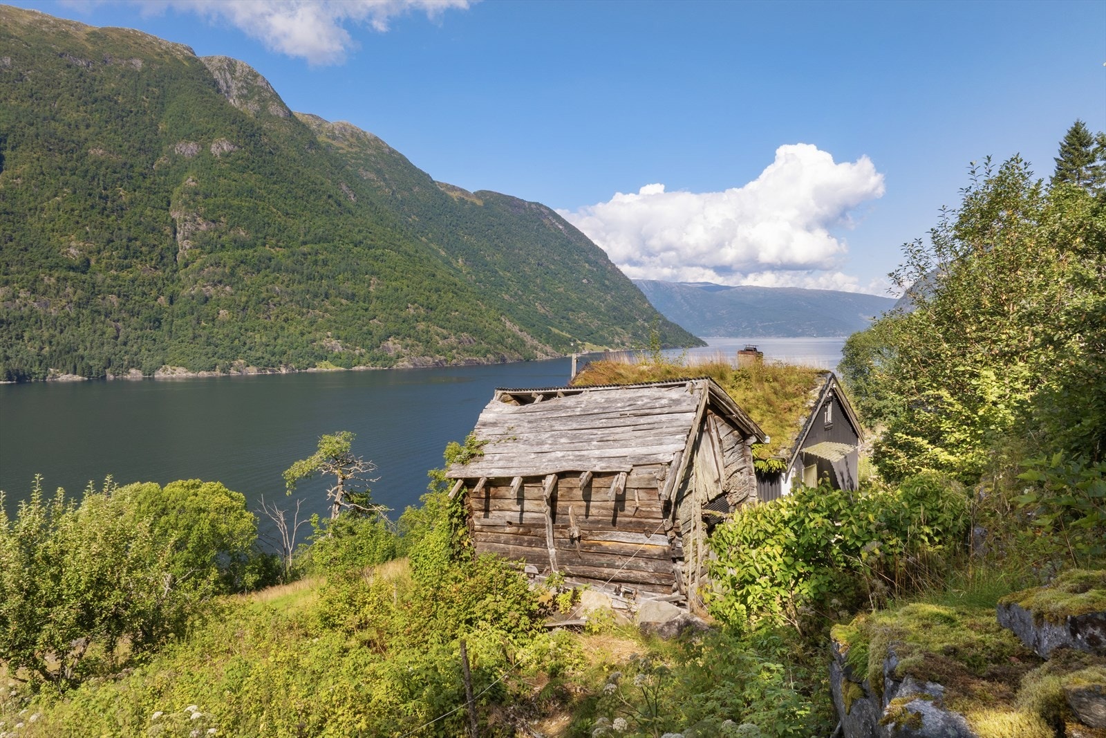 Tomta er naturleg og landleg opparbeidd, med både opne grasareal og vegetasjon. På eigedomen er det planta frukttre og bærbusker. Galleribilde