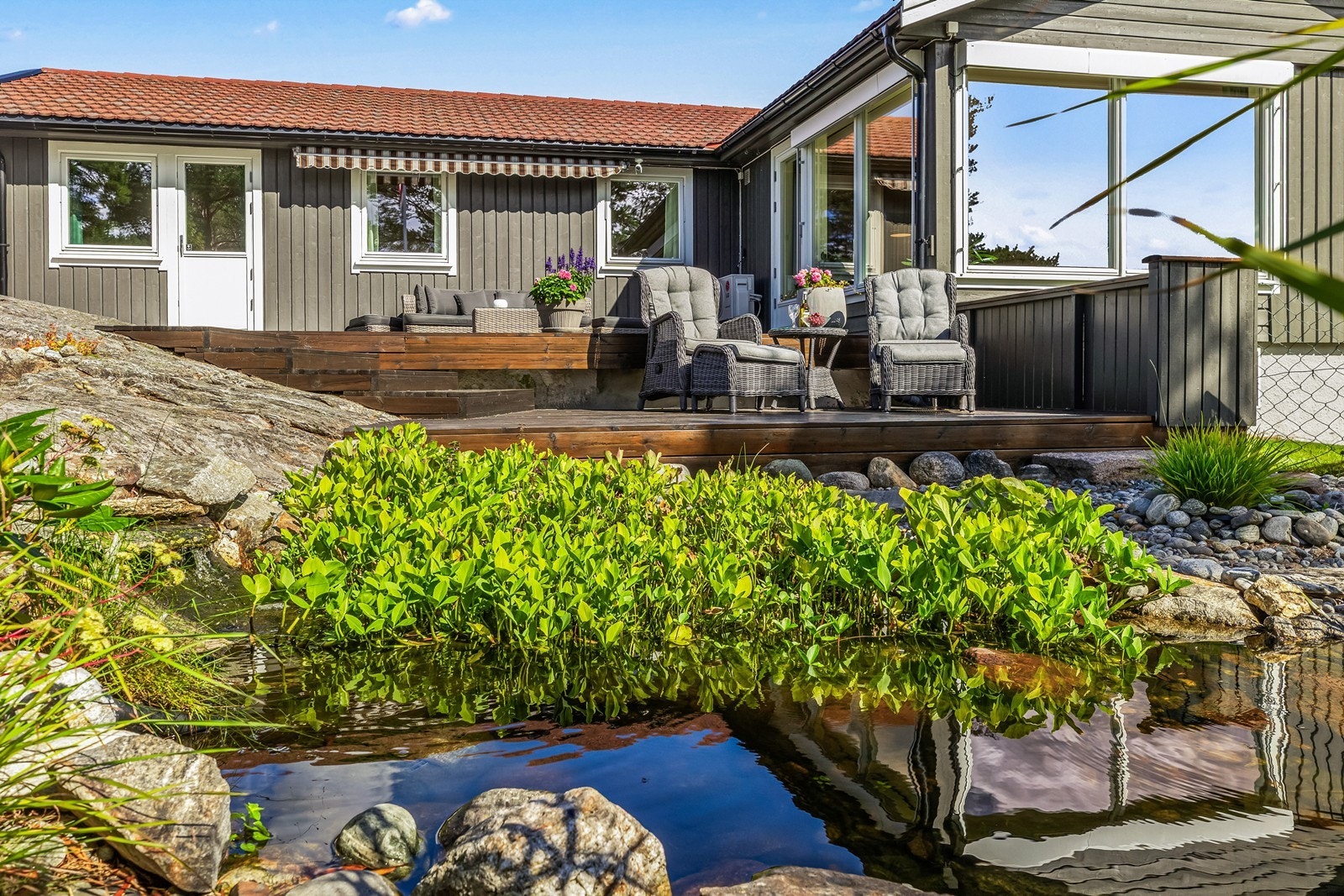 Egen dam med medfølgende fisker Galleribilde