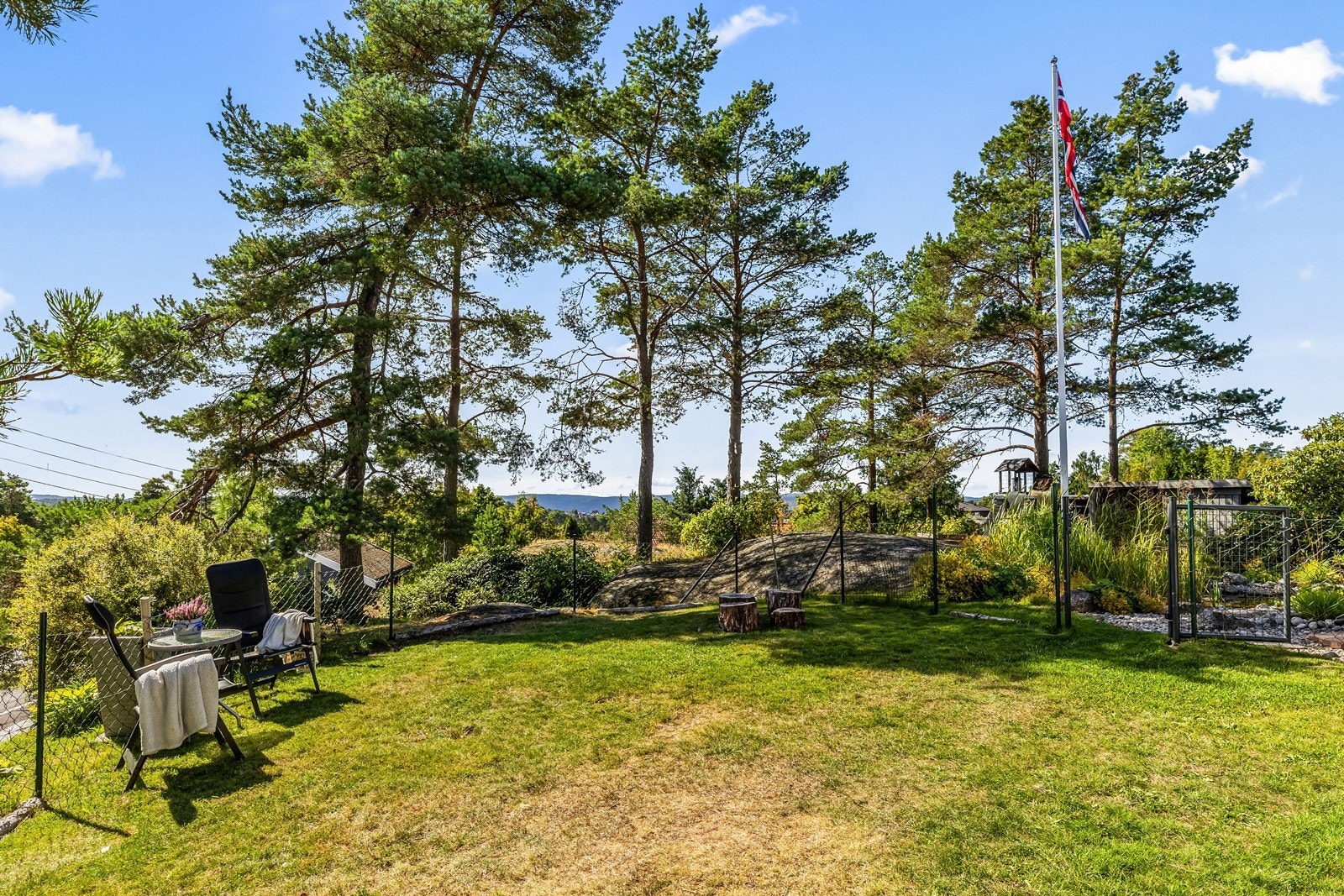 Rikelig med boltreplass for både to- og firbeinte Galleribilde