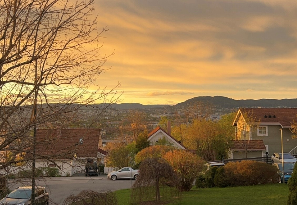 høstbilde. Foto tatt av selger. Galleribilde